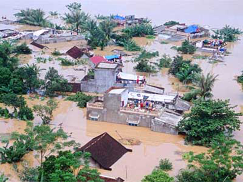 Ni&ecirc;u cơm Thạch Sanh trong m&ugrave;a lũ